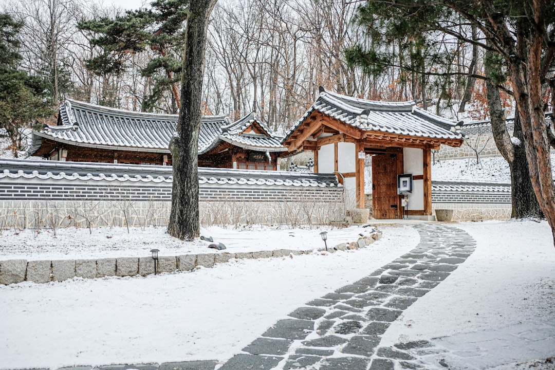 [비주얼 한국사] 13주차 13. 문벌귀족의 등장