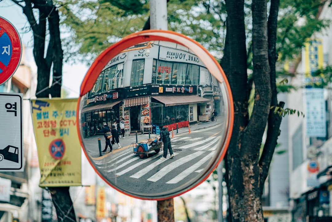 [고등 사회탐구 세계사] 동아시아 세계의 발전 – 송의 번영과 정복 왕조의 활동 / 몽골 제국과 동서교류…